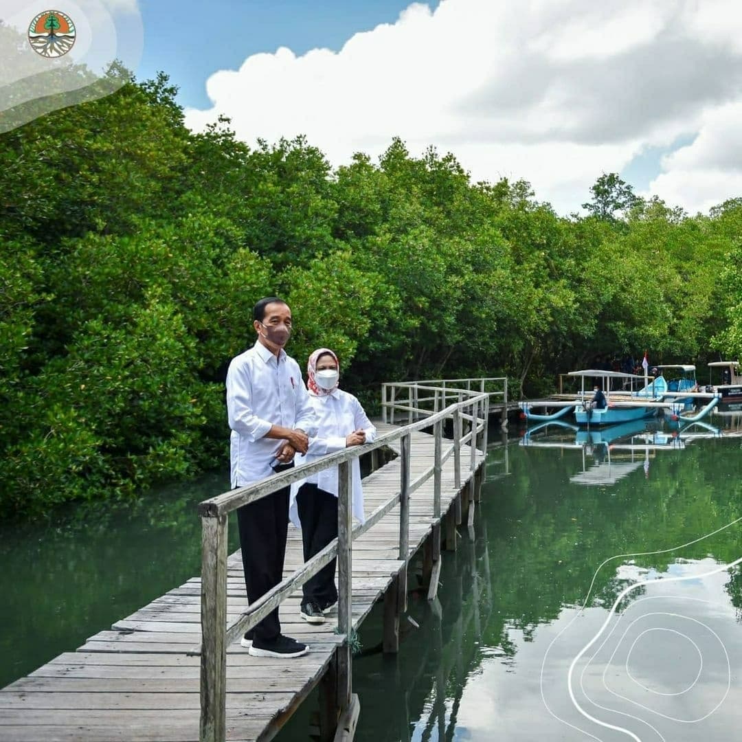 Kunjungan Presiden RI Joko Widodo Meninjau Kebersihan Program Rehabilitasi Mangrove